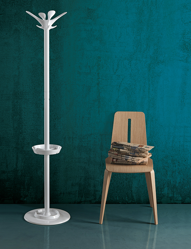 Bild Platone
